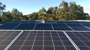 Micro-inverters or optimisers can be put to good use in partial PV array shading